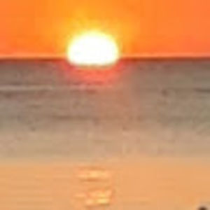 Meet your Posher, Demond